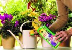 Удобрения для комнатных растений